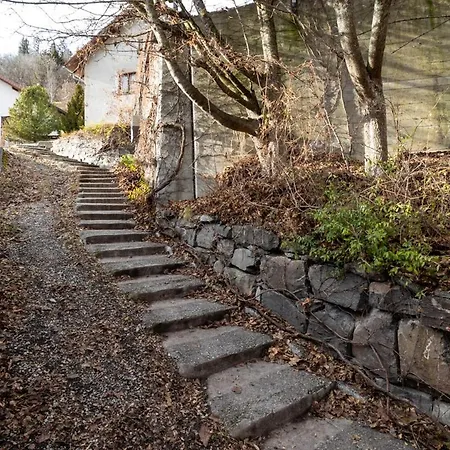 Perla Grischuna クール